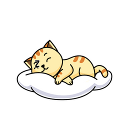 Buenas Noches Gatos GIF