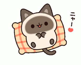 Buenas Noches Gatos GIF