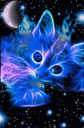 Buenas Noches Gatos GIF