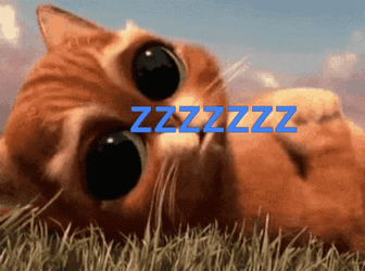 Buenas Noches Gatos GIF