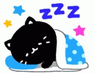 Buenas Noches Gatos GIF