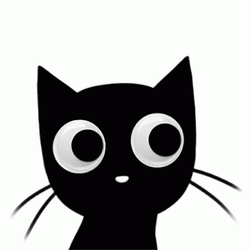 Buenas Noches Gatos GIF