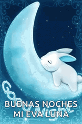 Buenas Noches Good Night Bunny GIF