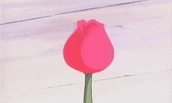 Buenas Noches Hello Kitty GIF