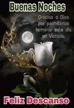 Buenas Noches Jueves GIF