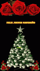 Buenas Noches Jueves GIF