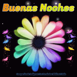 Buenas Noches Jueves GIF