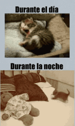 Buenas Noches Jueves GIF