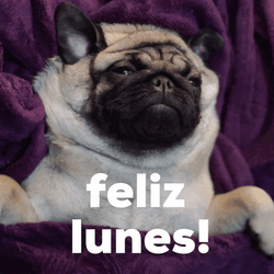 Buenas Noches Lunes GIF