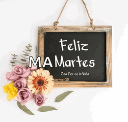 Buenas Noches Martes GIF