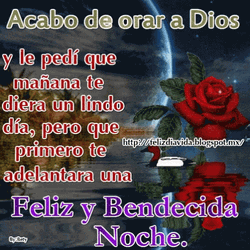 Buenas Noches Martes GIF