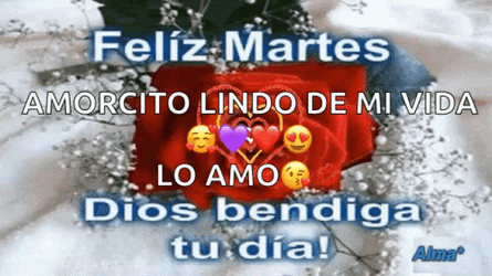 Buenas Noches Martes GIF