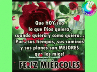 Buenas Noches Miercoles GIF