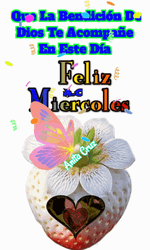 Buenas Noches Miercoles GIF