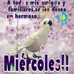 Buenas Noches Miercoles GIF