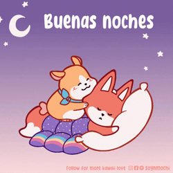 Buenas Noches Miercoles GIF
