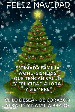 Buenas Noches Navideñas GIF