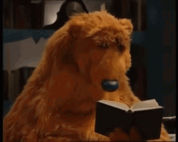 Buenas Noches Ositos GIF