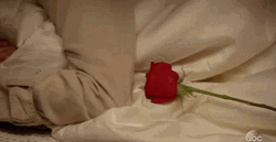 Buenas Noches Sabado GIF