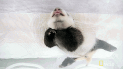 Buenas Noches Sabado GIF