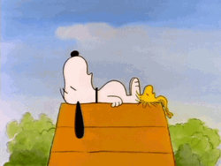 Buenas Noches Snoopy GIF