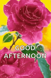 Buenas Tardes Purple Rose Snow Falling  GIF