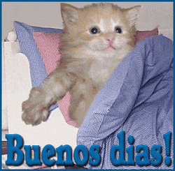 Buennos Diaz Feliz Domingo Cute Art GIF