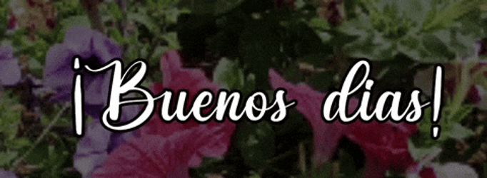 Buenos Dias Amigas GIF