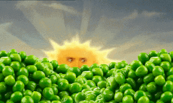 Buenos Dias Amigas GIF