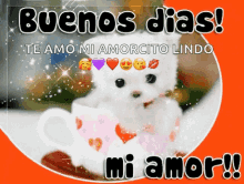 Buenos Dias Amor Cute White Dog Glittering Background GIF