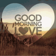 Buenos Dias Amor Pink Petals Animation GIF