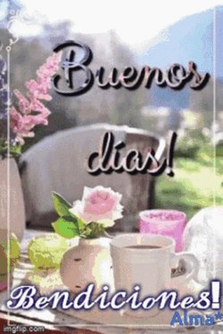Buenos Dias Bendiciones Pink Roses Compilation GIF