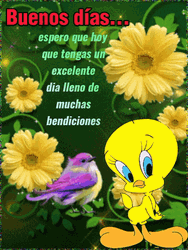 Buenos Dias Bendiciones Tweety Bird GIF