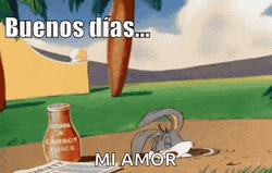 Buenos Dias Bugs Bunny GIF
