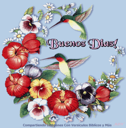 Buenos Dias Colibri GIF