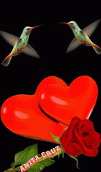 Buenos Dias Colibri GIF