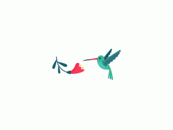 Buenos Dias Colibri GIF
