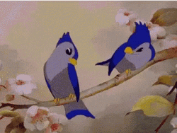 Buenos Dias Colibri GIF