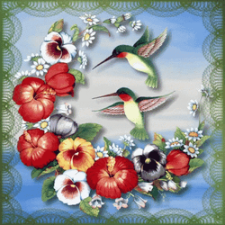 Buenos Dias Colibri Undefined X Undefined Gif