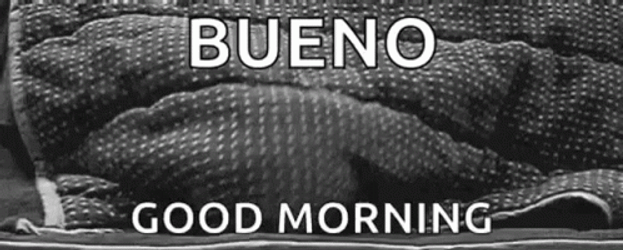 Buenos Dias Con Gatitos Undefined X Undefined Gif