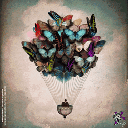 Buenos Dias Con Mariposas GIF