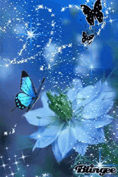 Buenos Dias Con Mariposas GIF