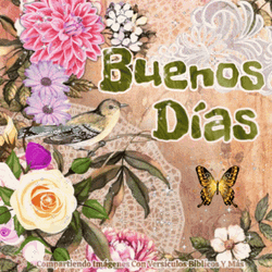 Buenos Dias Con Mariposas GIF