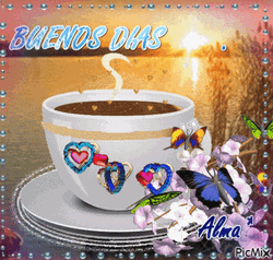 Buenos Dias Con Mariposas GIF