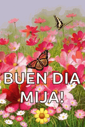 Buenos Dias Con Mariposas GIF