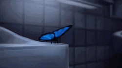 Buenos Dias Con Mariposas GIF