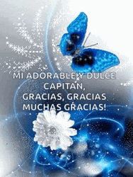 Buenos Dias Con Mariposas GIF
