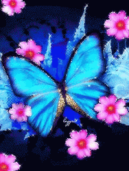Buenos Dias Con Mariposas GIF