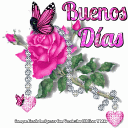 Buenos Dias Con Mariposas Undefined X Undefined Gif