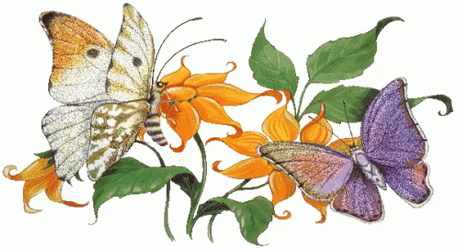 Buenos Dias Con Mariposas Undefined X Undefined Gif